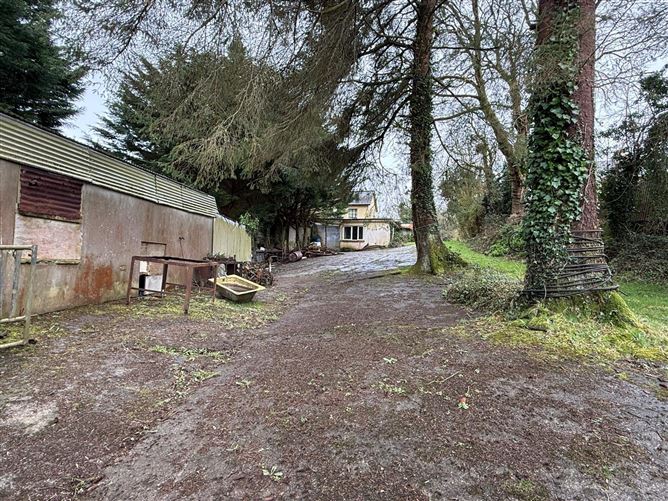 Glounlea, Currow, Co. Kerry