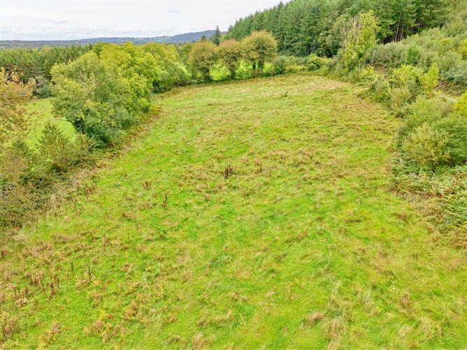 Photo 6 of 12 — Boherboy, Mullinahone, County Tipperary