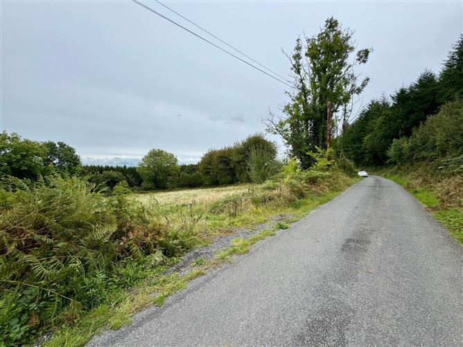 Photo 9 of 12 — Boherboy, Mullinahone, County Tipperary