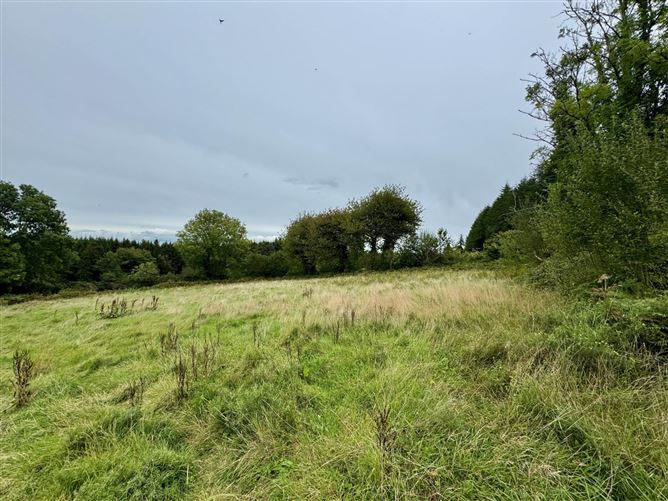 Photo 10 of 12 — Boherboy, Mullinahone, County Tipperary
