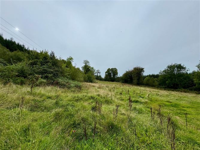 Photo 11 of 12 — Boherboy, Mullinahone, County Tipperary