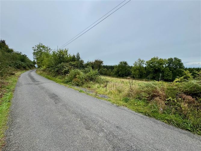 Photo 8 of 12 — Boherboy, Mullinahone, County Tipperary
