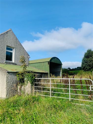 Knocks, Ballyfin, Co. Laois