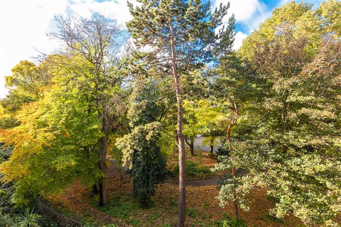 41 The Cedars, Herbert Park Lane, Ballsbridge, Dublin 4