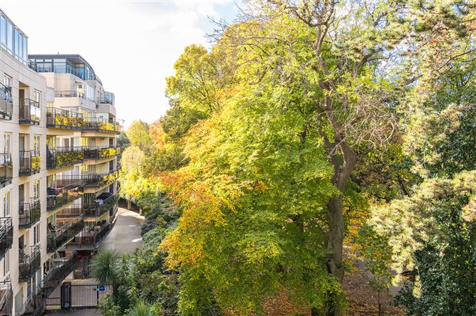 41 The Cedars, Herbert Park Lane, Ballsbridge, Dublin 4