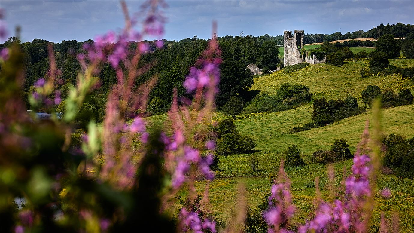 Robinrath, Navan, Meath