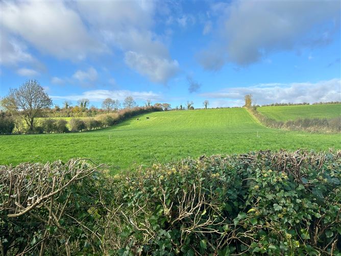 Mullaglassan, Smithborough, Co. Monaghan