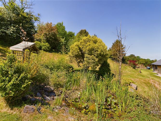 Ballinamona, Slieverue, Co. Kilkenny