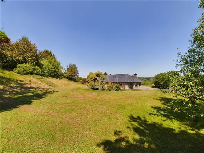 Ballinamona, Slieverue, Co. Kilkenny