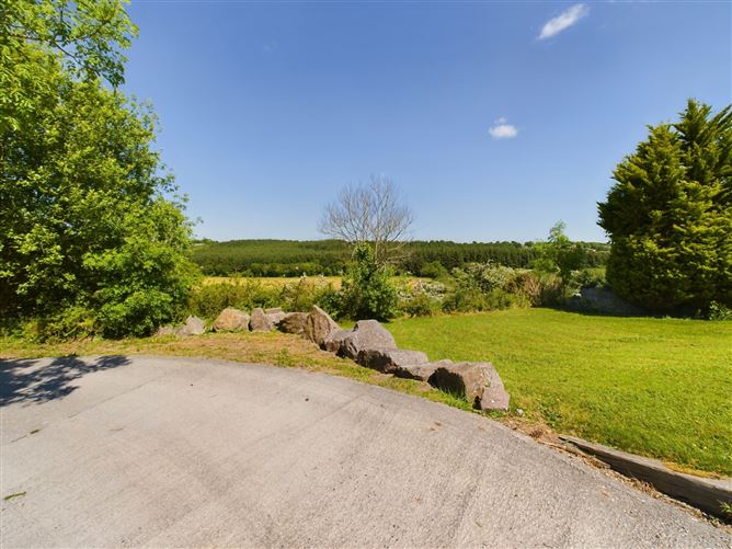 Ballinamona, Slieverue, Co. Kilkenny