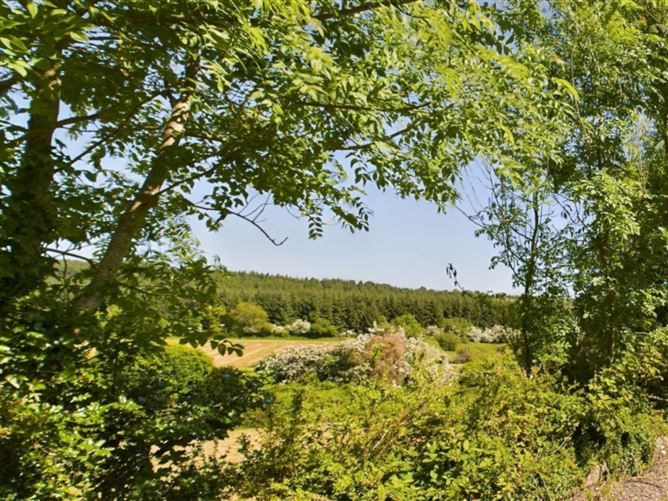 Ballinamona, Slieverue, Co. Kilkenny