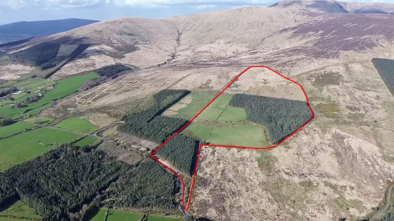 Toorboy (C. 61.8 Acres), Rathdangan, County Wicklow