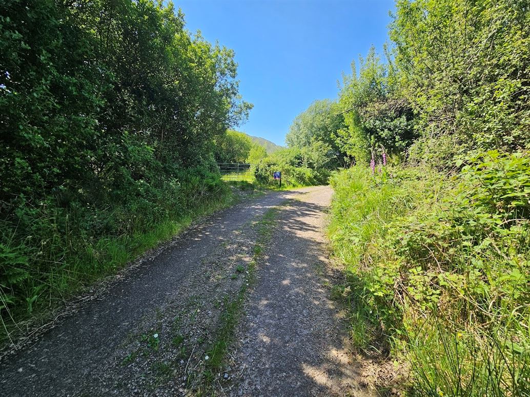 Derreenavurrig, Sneem, Co. Kerry, V93 K5CX