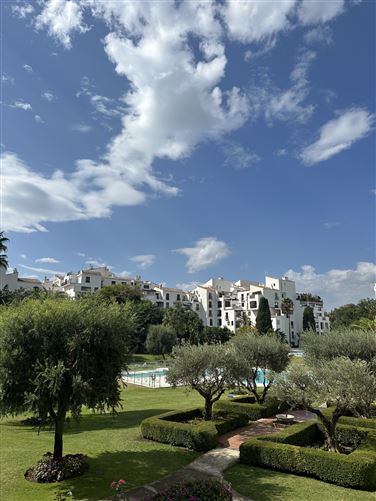 Spain, Marbella, Marbella - Puerto Banus - COSTA-00617P