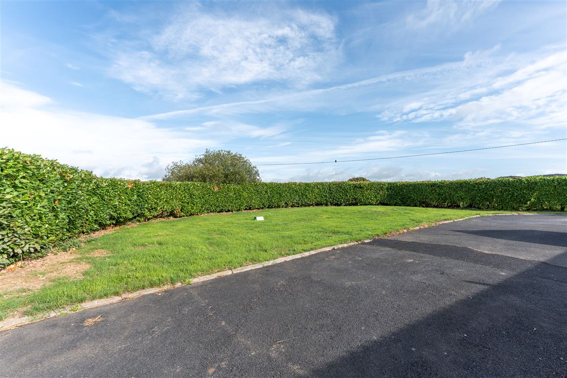 Ballybricken, Grange, Limerick