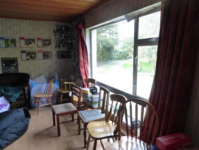 Modeshill, Mullinahone, Tipperary, Tipperary REA Grace 4689525