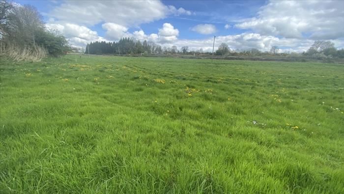 5.3 Acres Approx, Finea, Cavan
