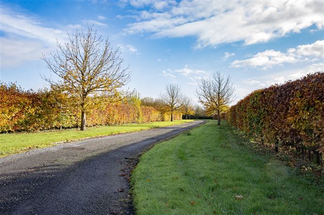Tiermore, Kilmacow, Co. Kilkenny