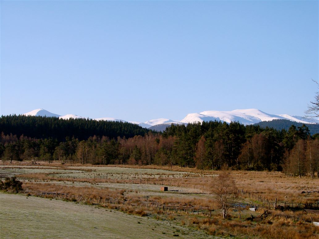 The Highland Wonder,Nethy Bridge, Highland, Scotland