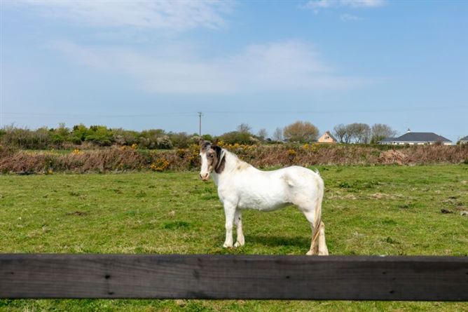 Seafield on c. 7 Acres, Duncormick, Wexford