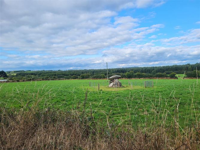 Ballinageragh, Dunhill, Waterford