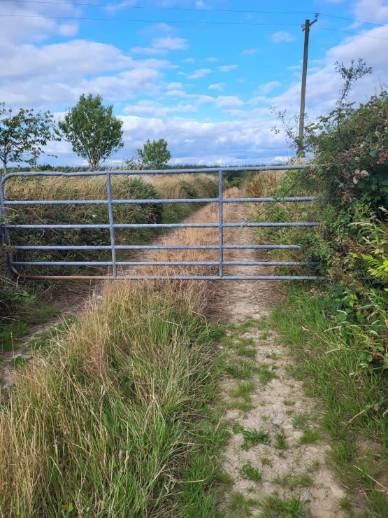 Ballinageragh, Dunhill, Waterford
