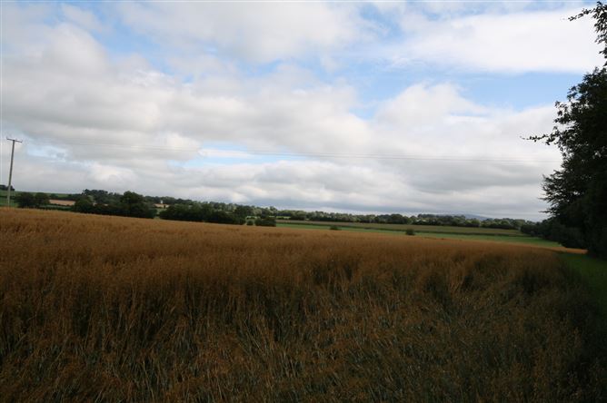The Cottage, Griffenstown, Dunlavin, Wicklow