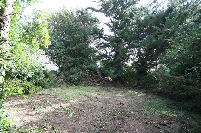 The Cottage, Griffenstown, Dunlavin, Wicklow