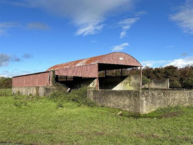 Circa 57 Acres, 22.98 Hectares At Milestown, Cloneen, Tipperary