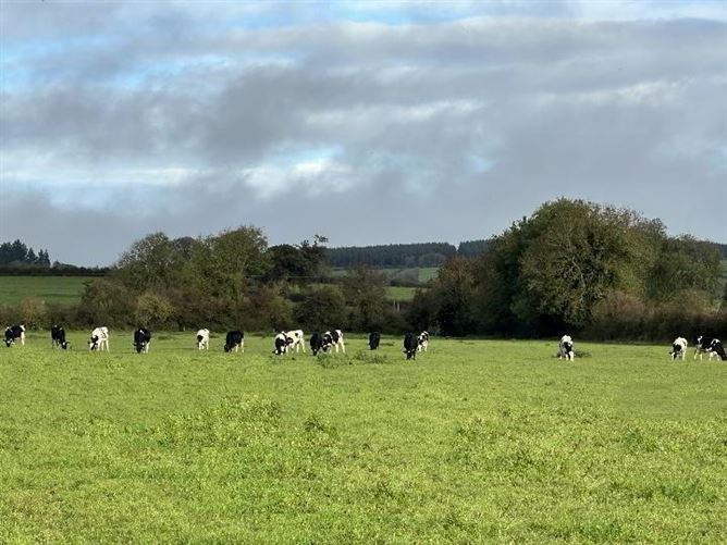 Circa 57 Acres, 22.98 Hectares At Milestown, Cloneen, Tipperary