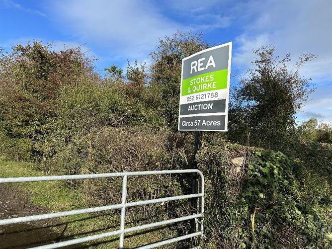 Circa 57 Acres, 22.98 Hectares At Milestown, Cloneen, Tipperary