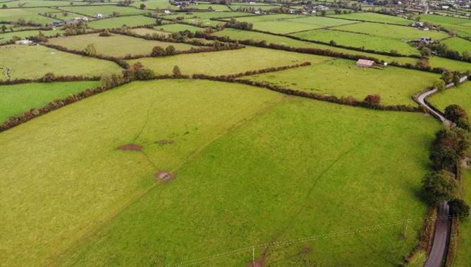 Circa 57 Acres, 22.98 Hectares At Milestown, Cloneen, Tipperary