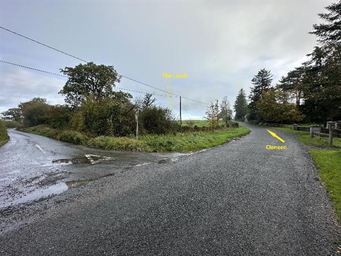 Circa 57 Acres, 22.98 Hectares At Milestown, Cloneen, Tipperary