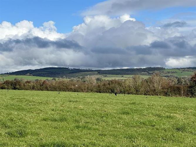 Circa 57 Acres, 22.98 Hectares At Milestown, Cloneen, Tipperary