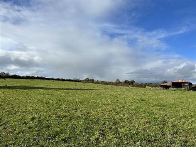 Circa 57 Acres, 22.98 Hectares At Milestown, Cloneen, Tipperary