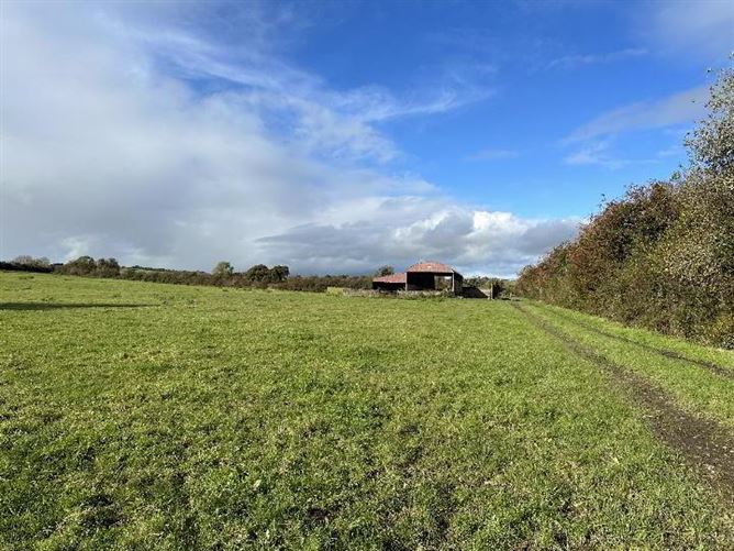 Circa 57 Acres, 22.98 Hectares At Milestown, Cloneen, Tipperary