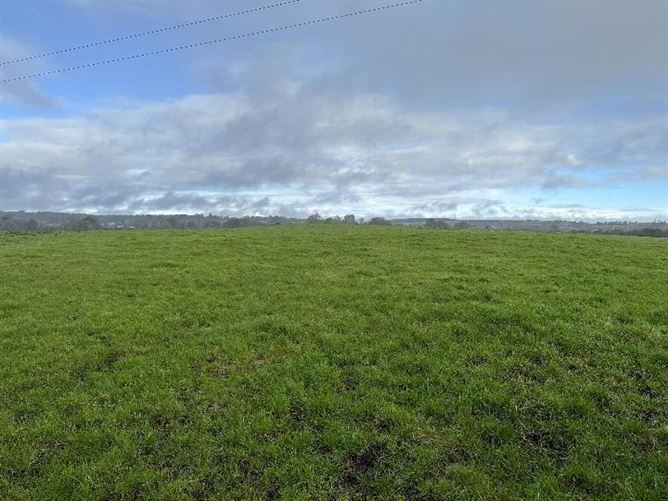 Circa 57 Acres, 22.98 Hectares At Milestown, Cloneen, Tipperary