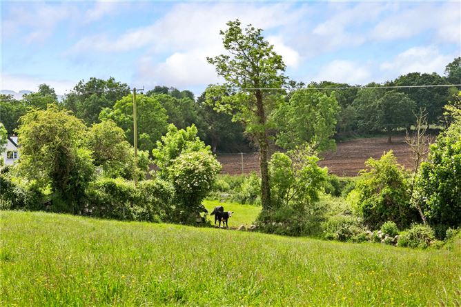 Tinnacouse, Skeaghvasteen, Graignamanagh, Co. Kilkenny