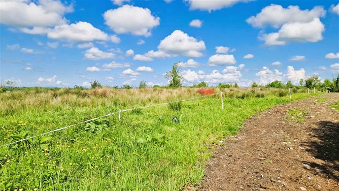 Lands Corryolus, Carrick-on-Shannon, Leitrim
