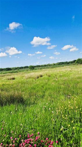 Lands Corryolus, Carrick-on-Shannon, Leitrim