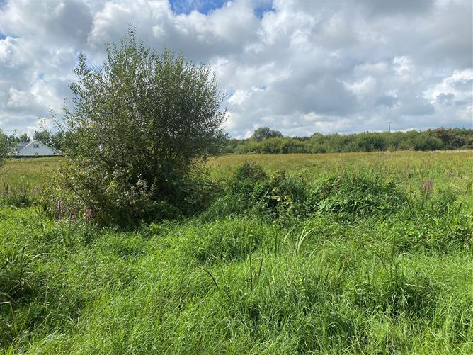 1.06 Acres, Blacktrench, Newbridge, Kildare