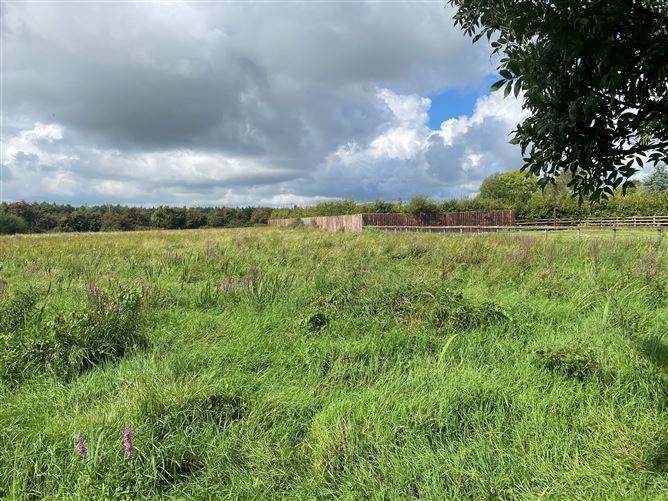 1.06 Acres, Blacktrench, Newbridge, Kildare
