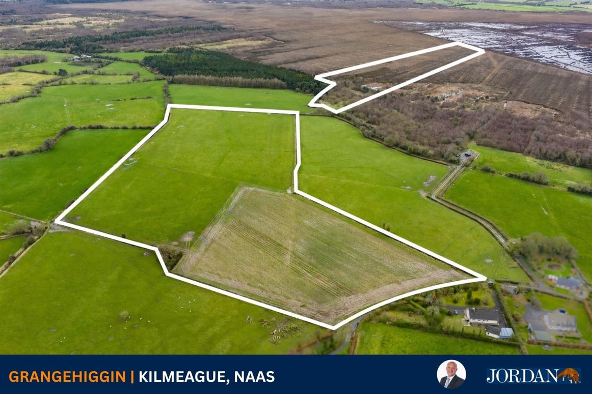 c. 43 Acres, Grangehiggin, Kilmeague, Naas, Co. Kildare