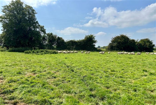 c. 34 Acres, Turnings, Straffan, Kildare