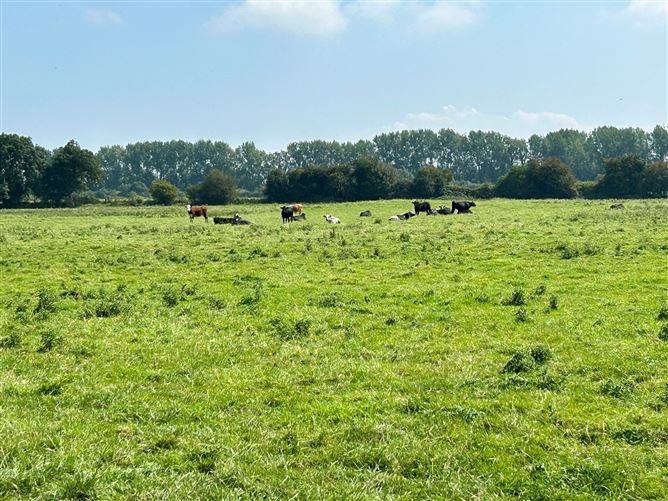 c. 34 Acres, Turnings, Straffan, Kildare