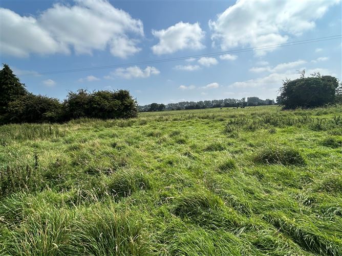 c. 34 Acres, Turnings, Straffan, Kildare