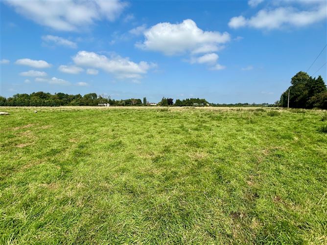 c. 34 Acres, Turnings, Straffan, Kildare