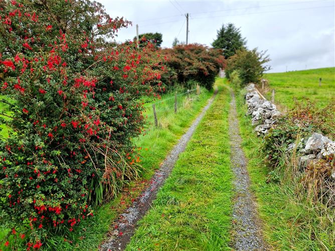 Cartron, Killasser, Swinford, Co. Mayo