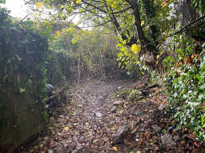 81 O'Connell Street, Dungarvan, Waterford