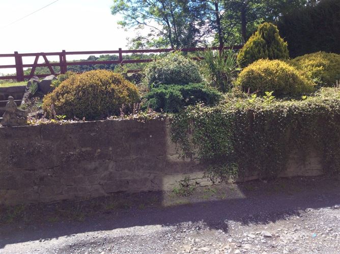 Cornacassa, Monaghan